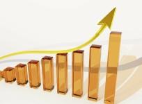 Business Growth