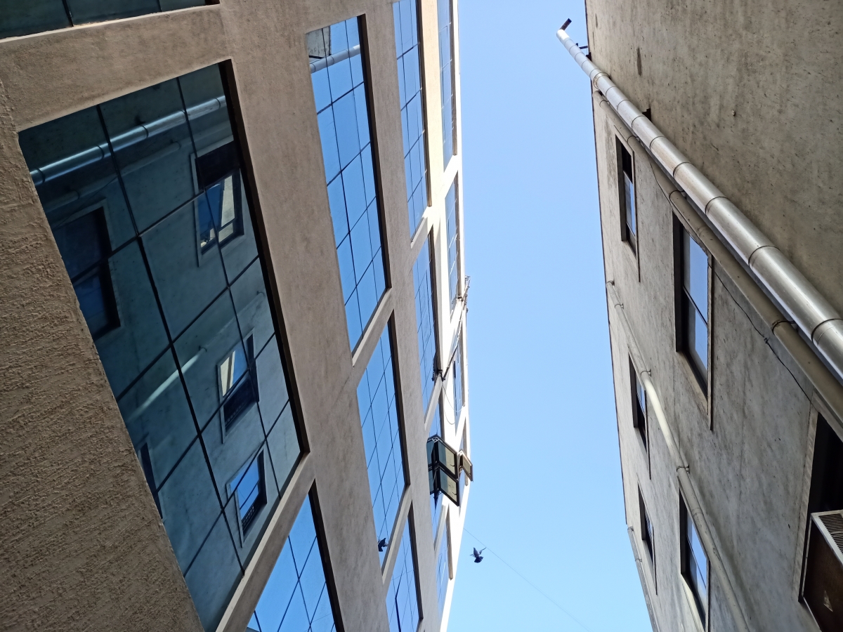 Oppo F15 camera samples