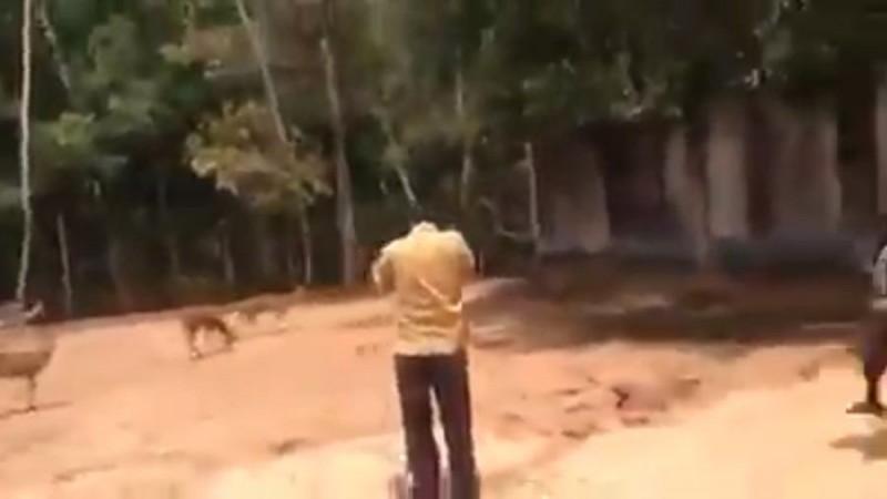 Deer hunting Deer hunting