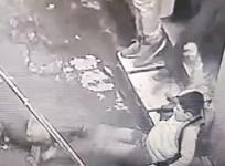 Pitbull bite Jalandhar