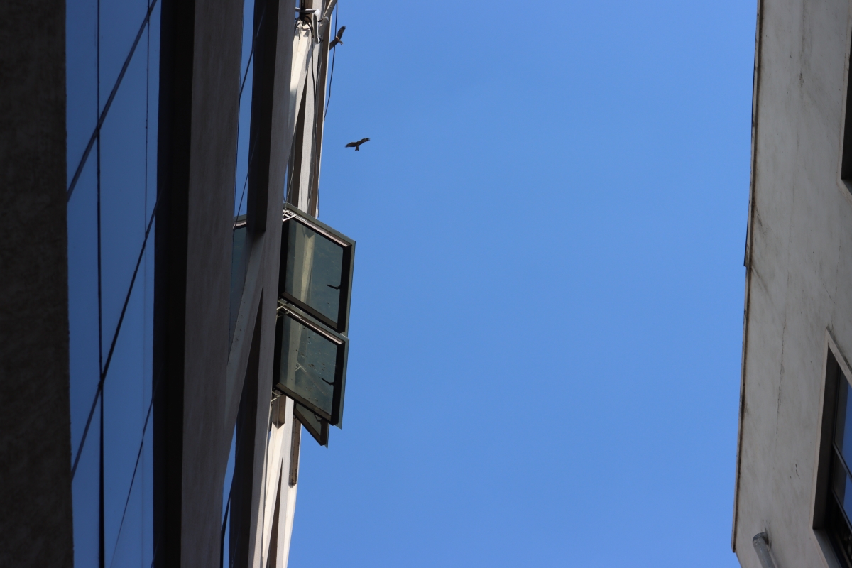 Canon M6 Mark II camera sample with maximum zoom Canon M6 Mark II camera sample