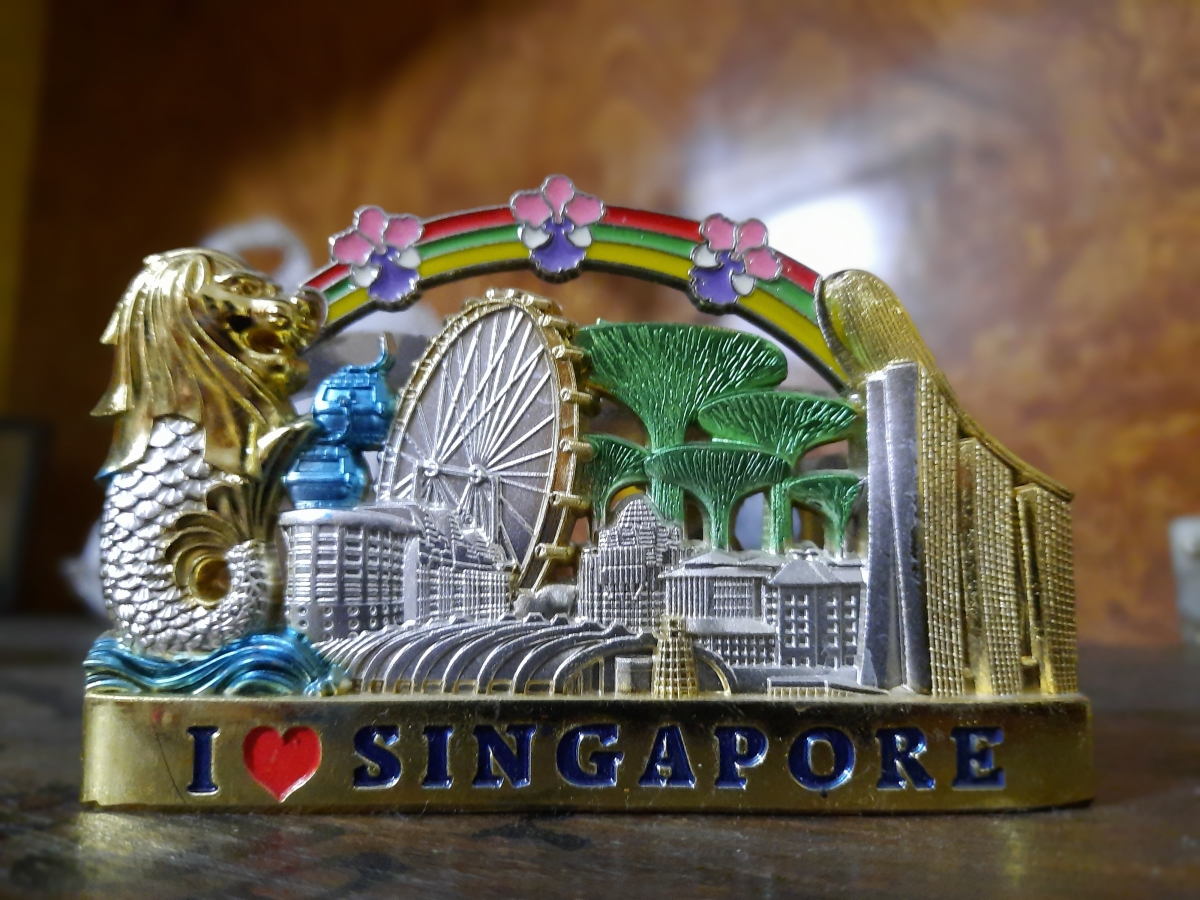 Samsung Galaxy A51 camera samples