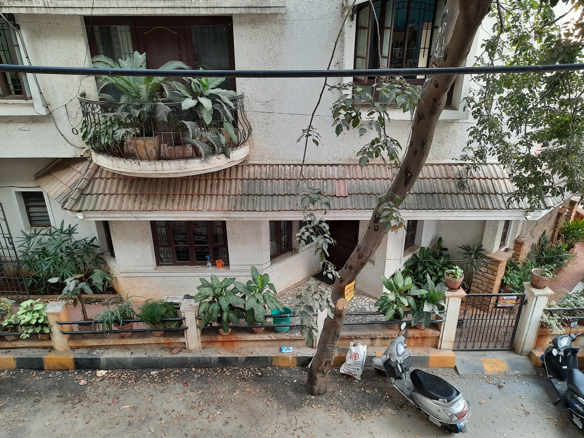 Samsung Galaxy A51 camera samples