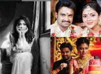Amala Paul-AL Vijay Divorce
