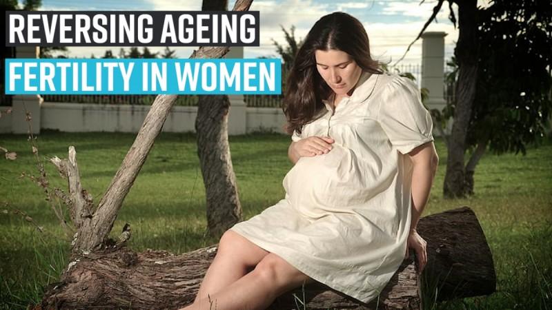 Reversing ageing fertility in women