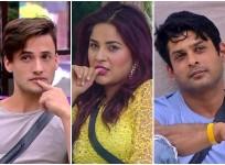 Bigg Boss 13, Asim Riaz, Shehnaaz Gill, Siddharth Shukla