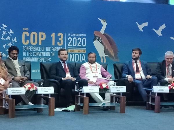 COP-13