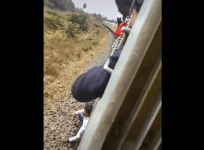 Piyush Goyal tiktok video