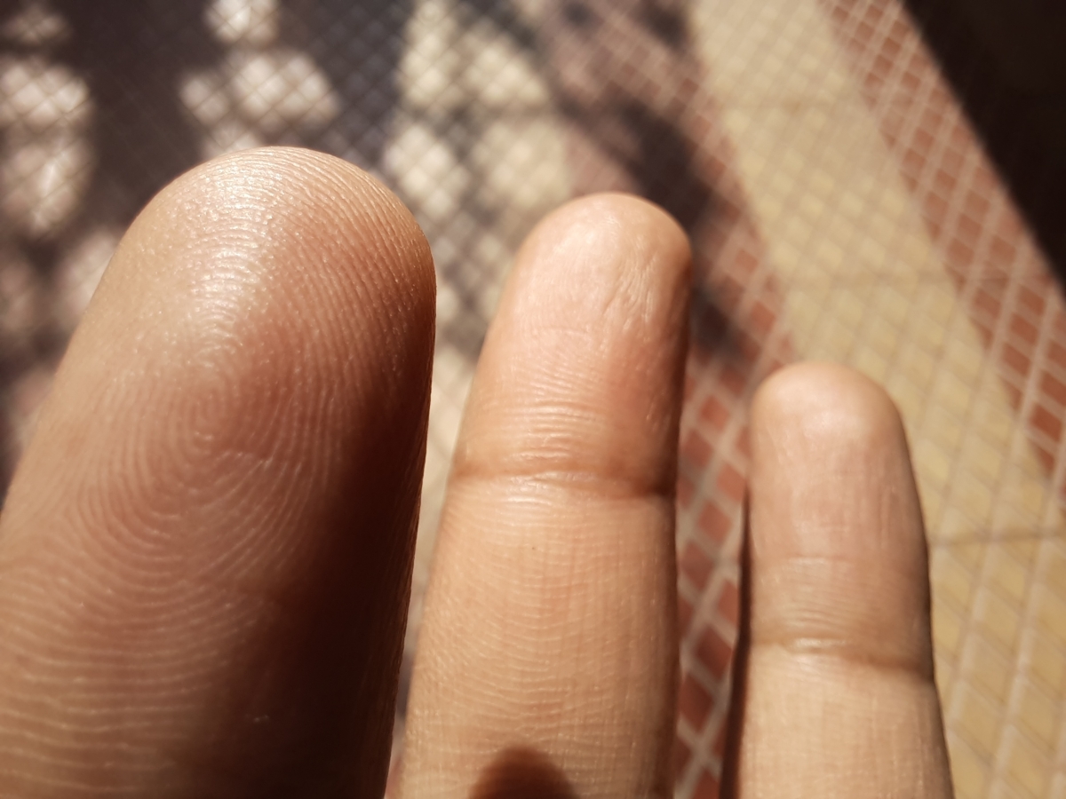 Galaxy M31 camera sample in macro mode Galaxy M31 camera sample