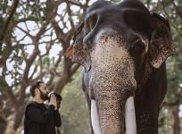 South Indian playback singer Anoop Sankar with Kerala tusker Padmanabhan