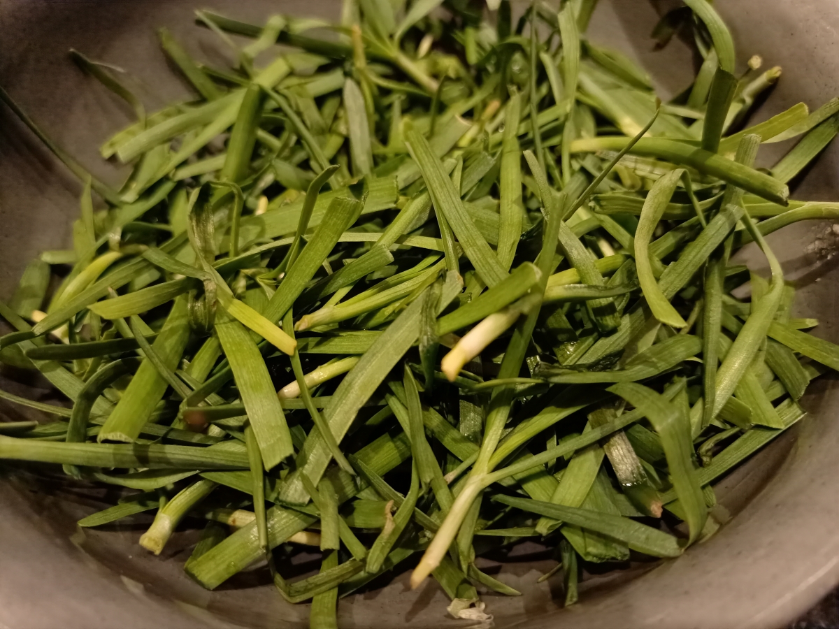 Oppo Reno 3 Pro camera sample