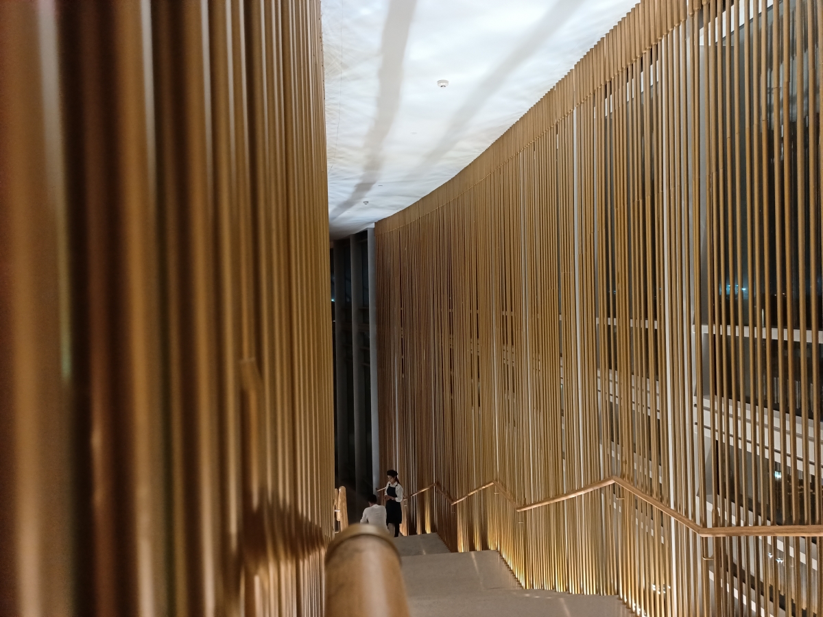 Oppo Reno 3 Pro camera sample