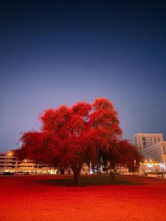 Shot on iPhone Night Mode challenge winner Shot on iPhone Night Mode challenge winner