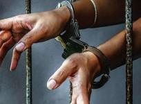 Police impostor arrested
