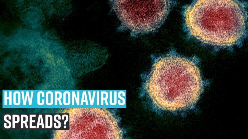 Vaccine to treat coronavirus might be a possibility soon How Coronavirus spreads?