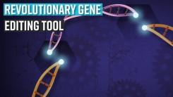 Revolutionary Gene-Editing Tool