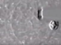 alien craft