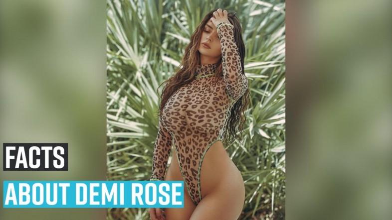 Demi Rose shows off her assets in sultry lingerie (Photos