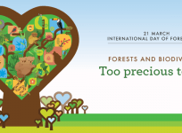 international day of forests