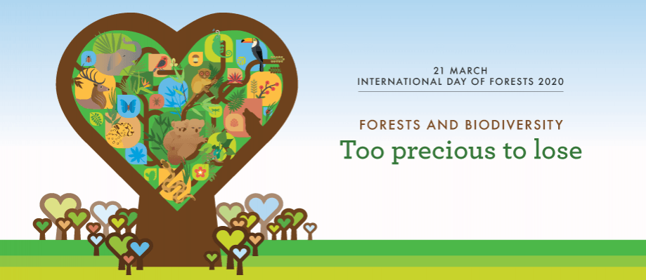 international day of forests