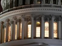 senate