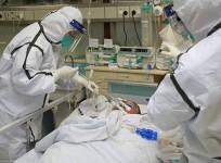 coronavirus