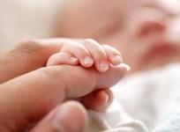 newborn