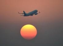 Domestic travel will soon open up