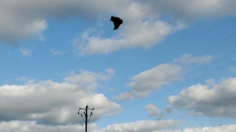A black UFO apparently appeared in the skies of Pennsylvania Black UFO
