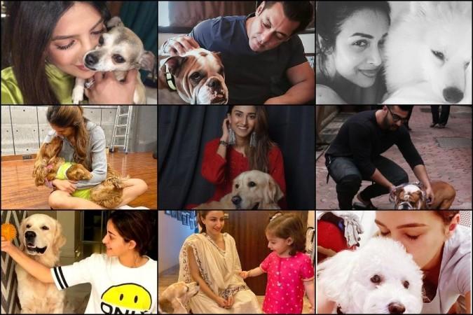 Celebs with dogs