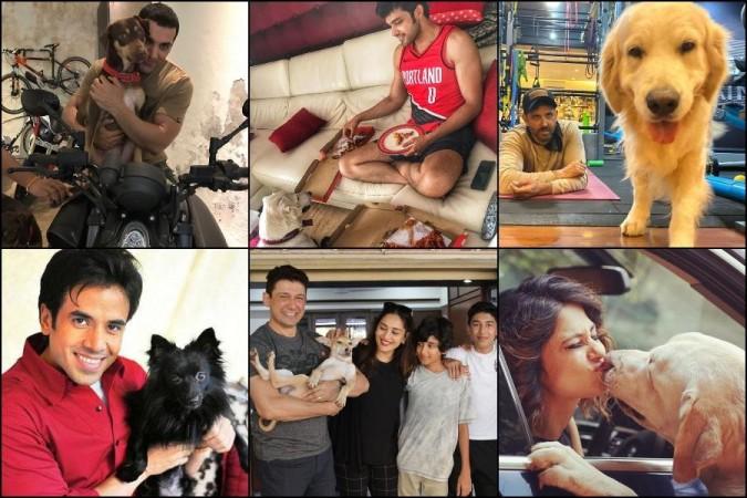 celebrities with dogs 2