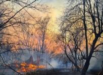 Ukraine forest fire