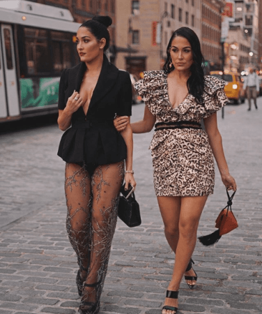 Nikki Bella and Brie Bella