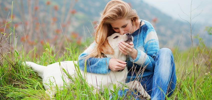 national pets day 2020