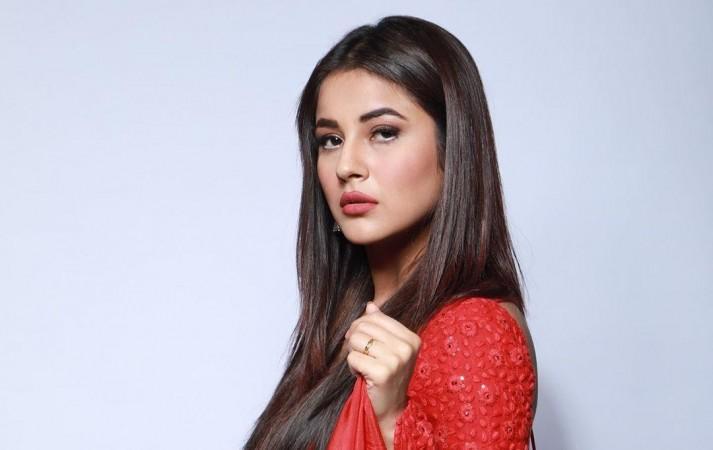 Bigg Boss 14: Amid the grand premiere, Shehnaaz Gill trends on internet