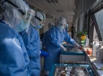 Coronavirus pandemic