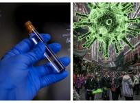 coronavirus vaccine