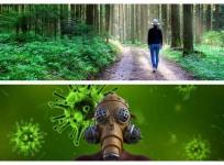 coronavirus changes
