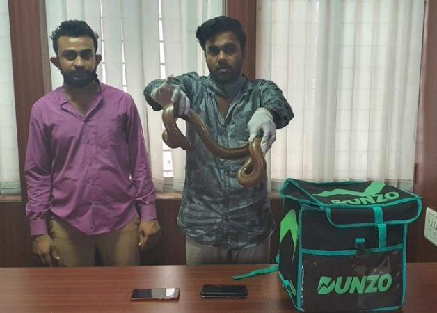 Illegal sand boa trade: Boy used Dunzo delivery bag to sell snake in ...