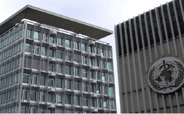 world health organisation