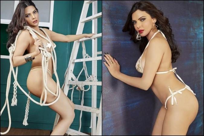 Sherlyn chopra semi nude pictures