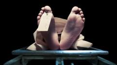 dead body