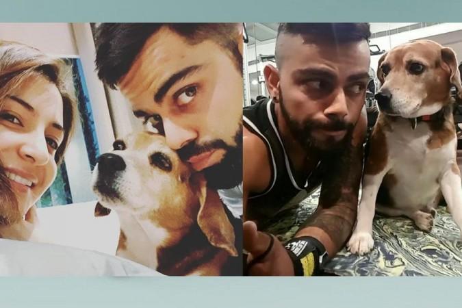 anushka sharma virat kohli with their dog