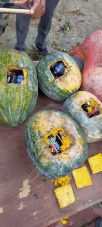 Pumpkins stuffed with Phensedyl at Indo Bangladesh border phensedyl