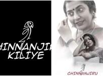 Mani Ratnam's wife Suhasini