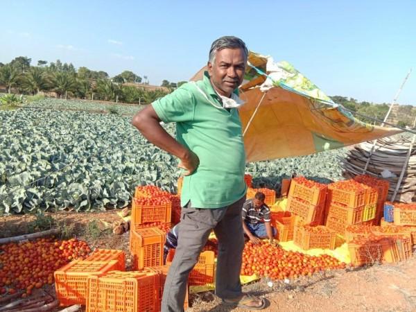 Farmer turns to Twitter for help Farmer turns to Twitter for help