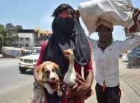 Migrant worker family refuses to abandon pets