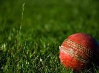 Cricket