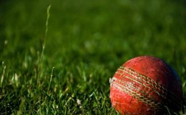 Cricket