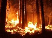 fire